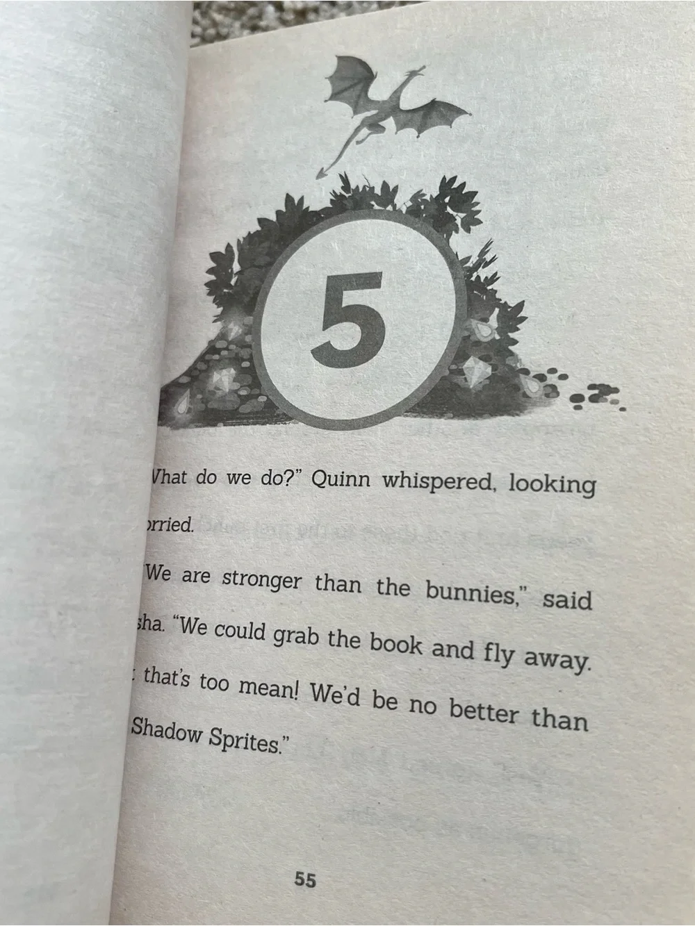 Dragon Girls Books 1-4 Bundle